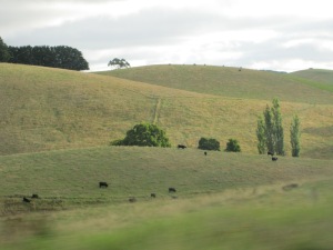 rolling hills of Victoria state